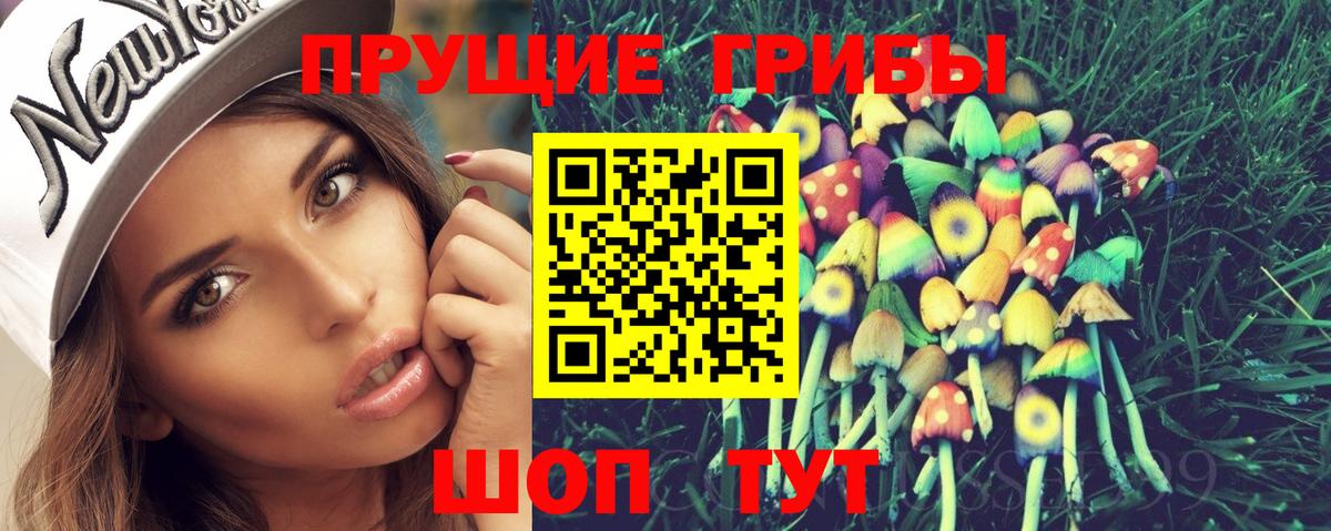 Краснознаменск  Псилоцибиновые грибы Psilocybe  Псилоцибиновые грибы Psilocybe  Вход с VPN 
