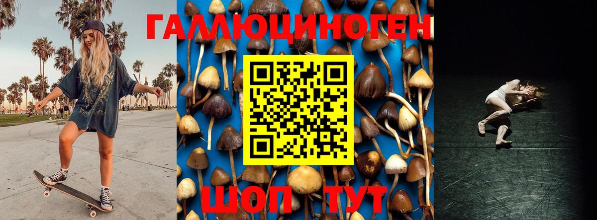 Псилоцибиновые грибы мицелий Краснознаменск